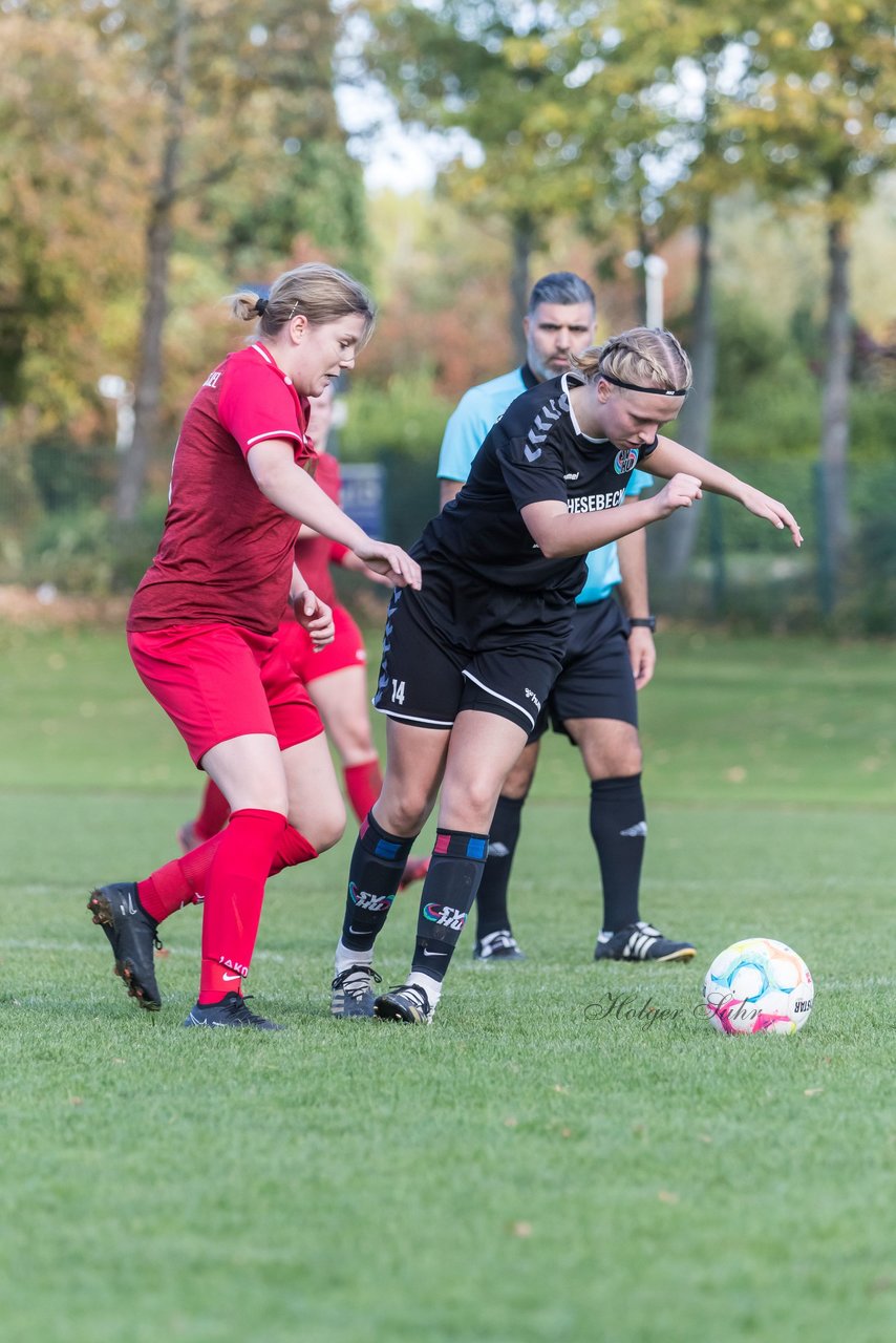 Bild 313 - F RS Kiel 2 - SV Henstedt Ulzburg 2 : Ergebnis: 1:3